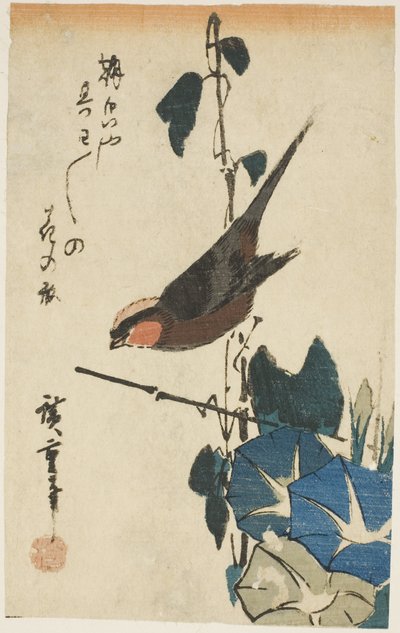 Passero e glorie del mattino da Utagawa Hiroshige