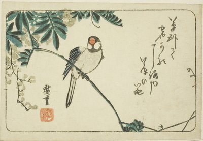 Passero e Glicine da Utagawa Hiroshige