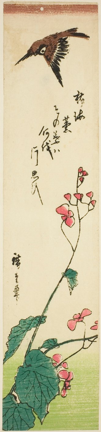 Passero che vola sopra le begonie da Utagawa Hiroshige