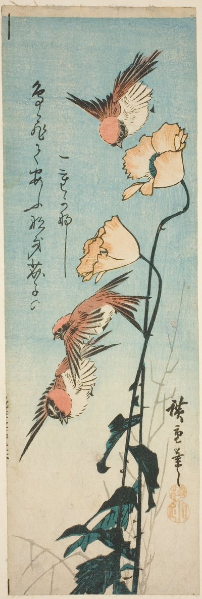 Passeri e papaveri da Utagawa Hiroshige
