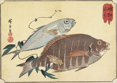 Pesce pappagallo e sgombro, inizio XIX secolo da Utagawa Hiroshige