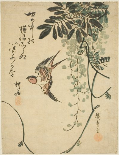 Rondine e glicine da Utagawa Hiroshige