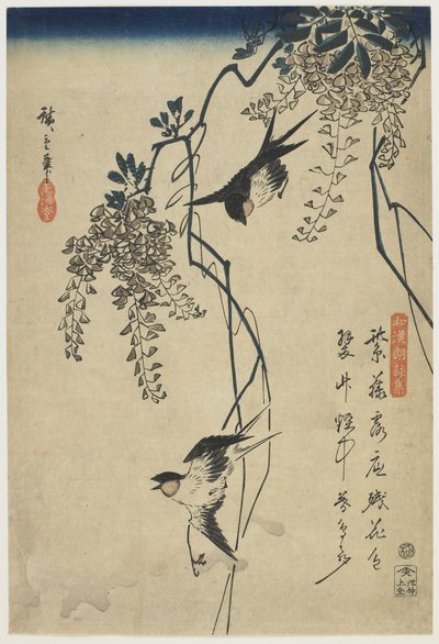 Rondini che volano tra le viti di glicine, 1837-44 da Utagawa Hiroshige