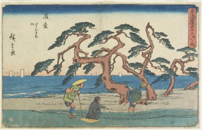 Il campo di pini a Hamamatsu, 1841-1842 da Utagawa Hiroshige