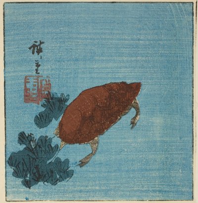 Tartaruga da Utagawa Hiroshige