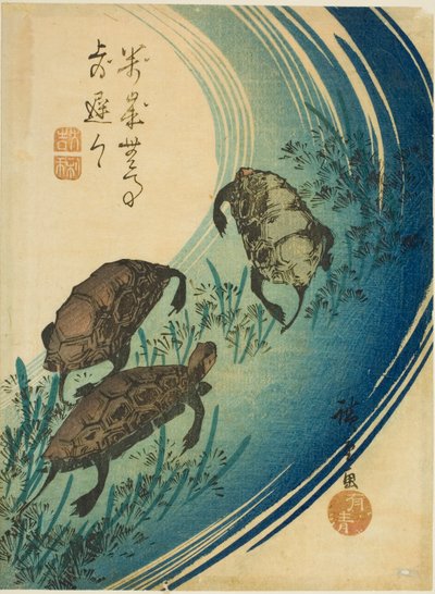 Tartarughe che nuotano in un ruscello da Utagawa Hiroshige