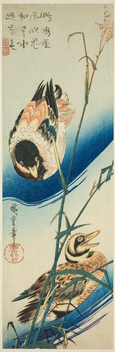 Due anatre che nuotano tra le canne da Utagawa Hiroshige