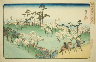 Ammirando i Fiori di Ciliegio alla Collina di Asuka (Asukayama hanami), dalla serie "Luoghi Famosi di Edo (Koto meisho)" da Utagawa Hiroshige