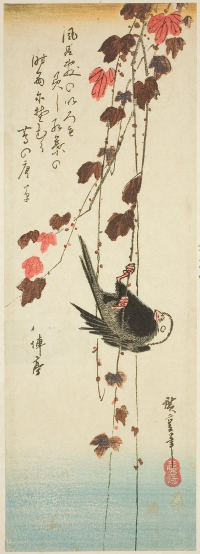 Uccello dalla testa bianca e edera da Utagawa Hiroshige