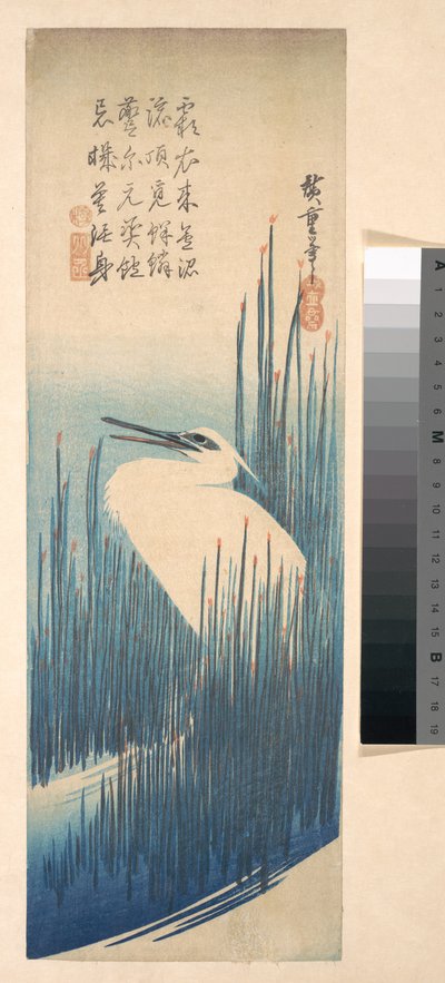 Weißer Reiher zwischen Schilf da Utagawa Hiroshige