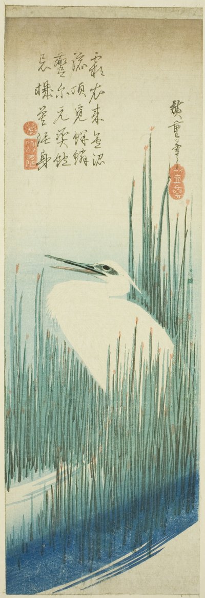 Airone bianco e pennelli da Utagawa Hiroshige