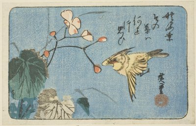 Uccello giallo e begonia da Utagawa Hiroshige