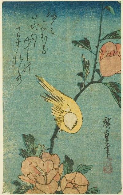 Uccello giallo e ibisco da Utagawa Hiroshige