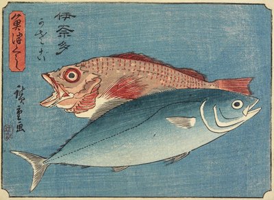 Ricciola e pesce di scoglio, 1830-1844 da Utagawa Hiroshige