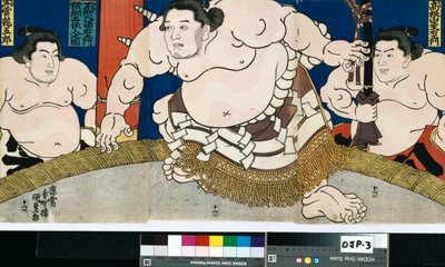 Illustrazione del Dohyo-Iri del Gran Campione Shiranui Dakuemon, pubblicato da Yamaguchiya Tobie da Utagawa Kunisada