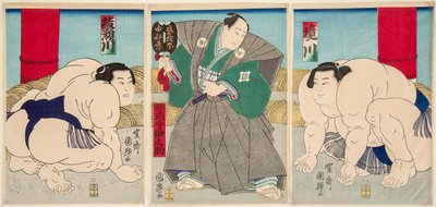 Combattimento dei lottatori di sumo Shakaigawa e Ayasemawa da Utagawa Kuniteru