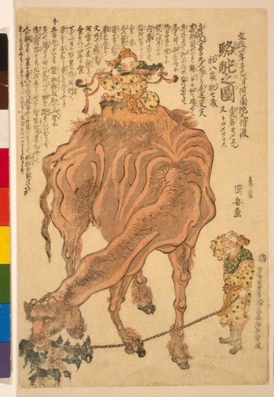 Un cammello, pub. 1824 da Utagawa Kuniyasu