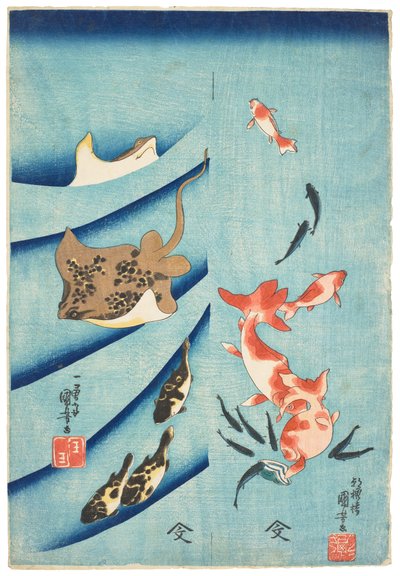 Pesce rosso, pesce chili, razza e pesce palla, 1837 circa (stampa su blocco di legno) da Utagawa Kuniyoshi