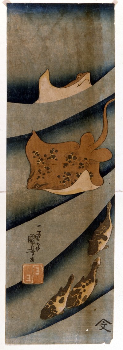 Stampe di Utagawa Kuniyoshi che raffigurano il pesce da Utagawa Kuniyoshi