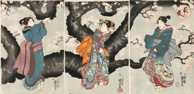 Yoru no sakura [Fiori di ciliegio di notte], c.1846 da Utagawa Kuniyoshi