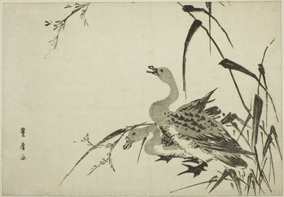 Oche selvatiche e canne da Utagawa Toyohiro