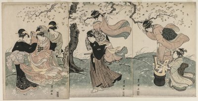 Fiori di ciliegio nel vento, fine 1790 da Utagawa Toyokuni