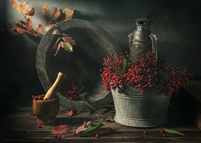  da Vadim Kulinsky
