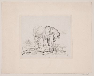 Un vecchio cavallo da Valdemar Irminger