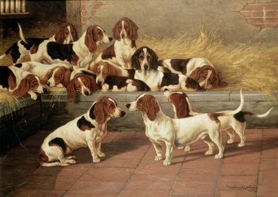 Basset Hound in un canile, 1894 da Valentine Thomas Garland
