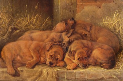 Amore cucciolo da Valentine Thomas Garland