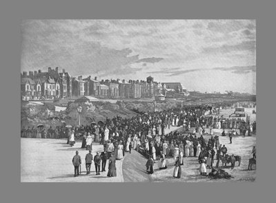 Parco Marino, Southport, c1900 da Valentine and Sons Ltd