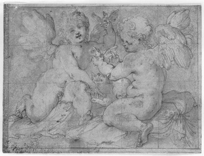 Due putti che giocano con un gatto e due uccelli da Valerio Castello