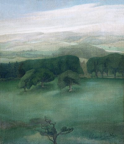 Montagne nel Cardiganshire, 1910 da Valerius de Saedeleer