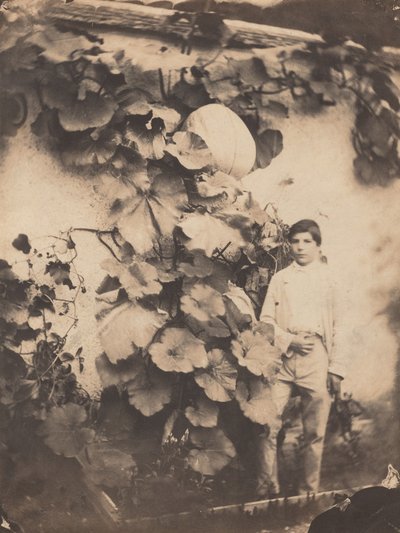 Ragazzo con una vite di zucca da Varin Frères