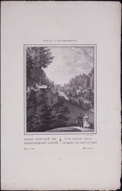 Vedute di San Pietroburgo. Veduta del parco di Pavlovsk da Vasili Semenovich Sadovnikov