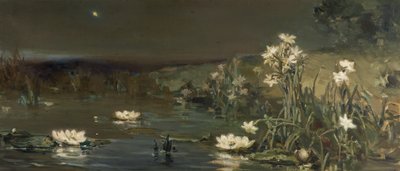 Stella nella notte da Vasilii Kotarbinsky