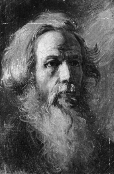 Testa di un Uomo da Vasily Perov