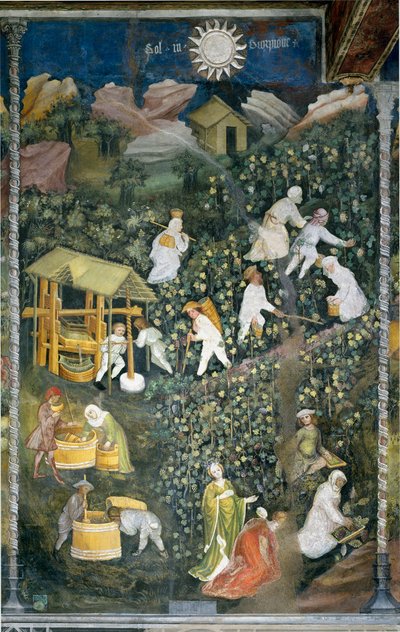 Ottobre: scena di vendemmia, raccolta dell