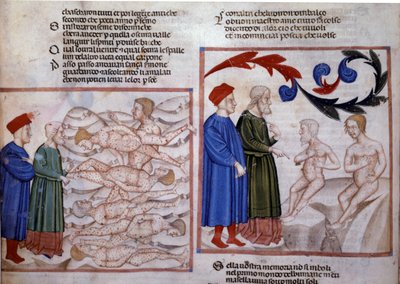Dante e Virgilio a colloquio con Grifolino di Arezzo e Capocchio di Siena. XIV secolo (miniatura) da Venetian School