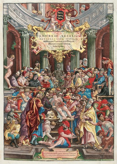 Frontespizio di De Humani Corporis Fabrica Libri Septem di Andreas Vesalius, pubblicato da Johannes Oporinus, Basilea, giugno 1543 da Venetian School