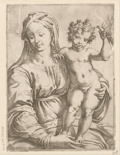 Maria con Bambino e un uccello da Vespasiano Strada