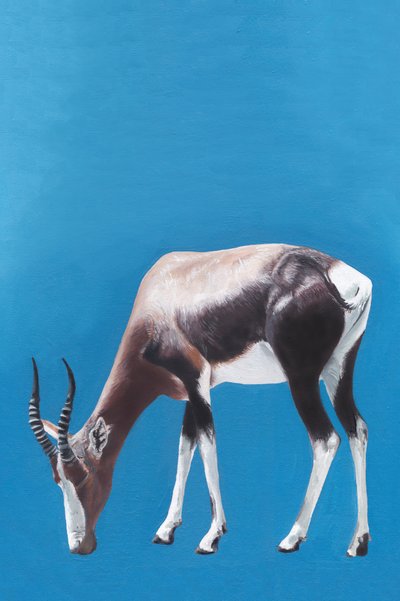 Blesbok al pascolo, blu da Viccy Wanliss