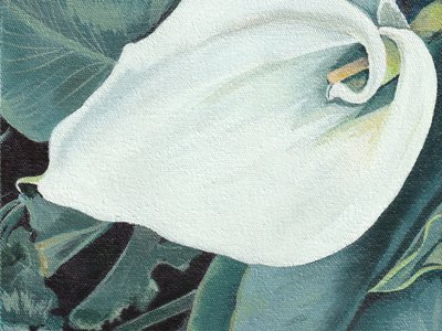 Elegante fiore di calla da Viccy Wanliss