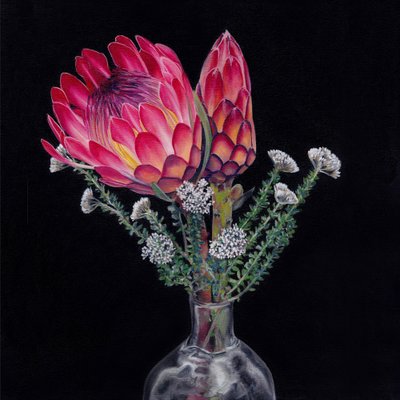 Bouquet di protea reale da Viccy Wanliss