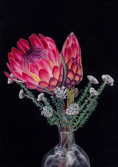 Protea e Blombos di Viccy Wanliss da Viccy Wanliss