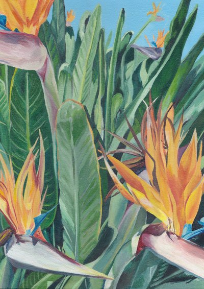 Un vivace uccello del paradiso da Viccy Wanliss