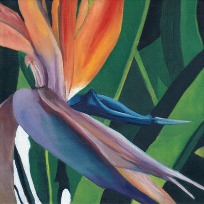 Un vivace uccello del paradiso da Viccy Wanliss