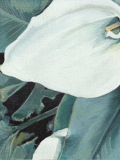 Fiore di calla bianca da Viccy Wanliss