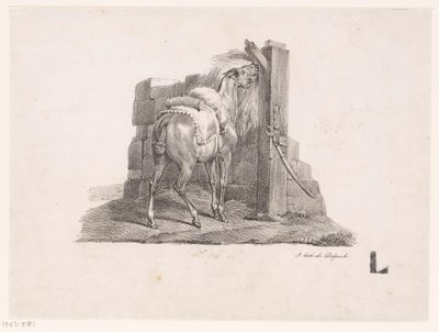 Studio di un cavallo in una stalla da Victor Adam