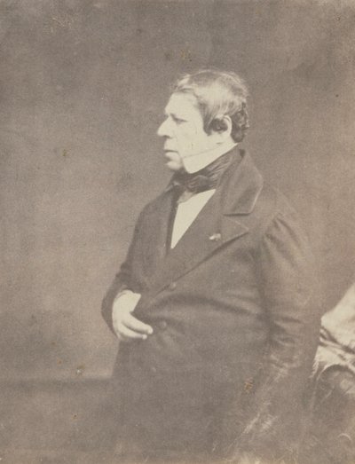 Jean Auguste Dominique Ingres da Victor Laisne